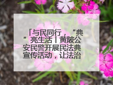与民同行，“典”亮生活丨黄陂公安民警开展民法典宣传活动，让法治精神在群众心中落地生根